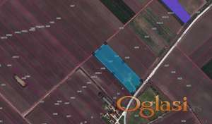 PRODAJA Plac: ZAPADNO-BAČKI OKRUG-Odžaci-Lalić, 12.480m2 , 125.00ari,31000e